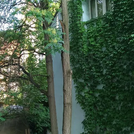 Barto * Прага
